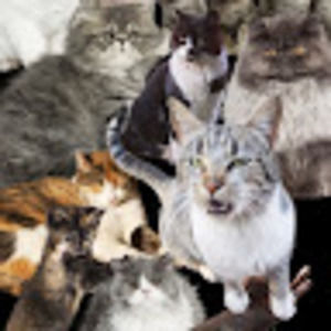 Meet your Posher, Caitlin